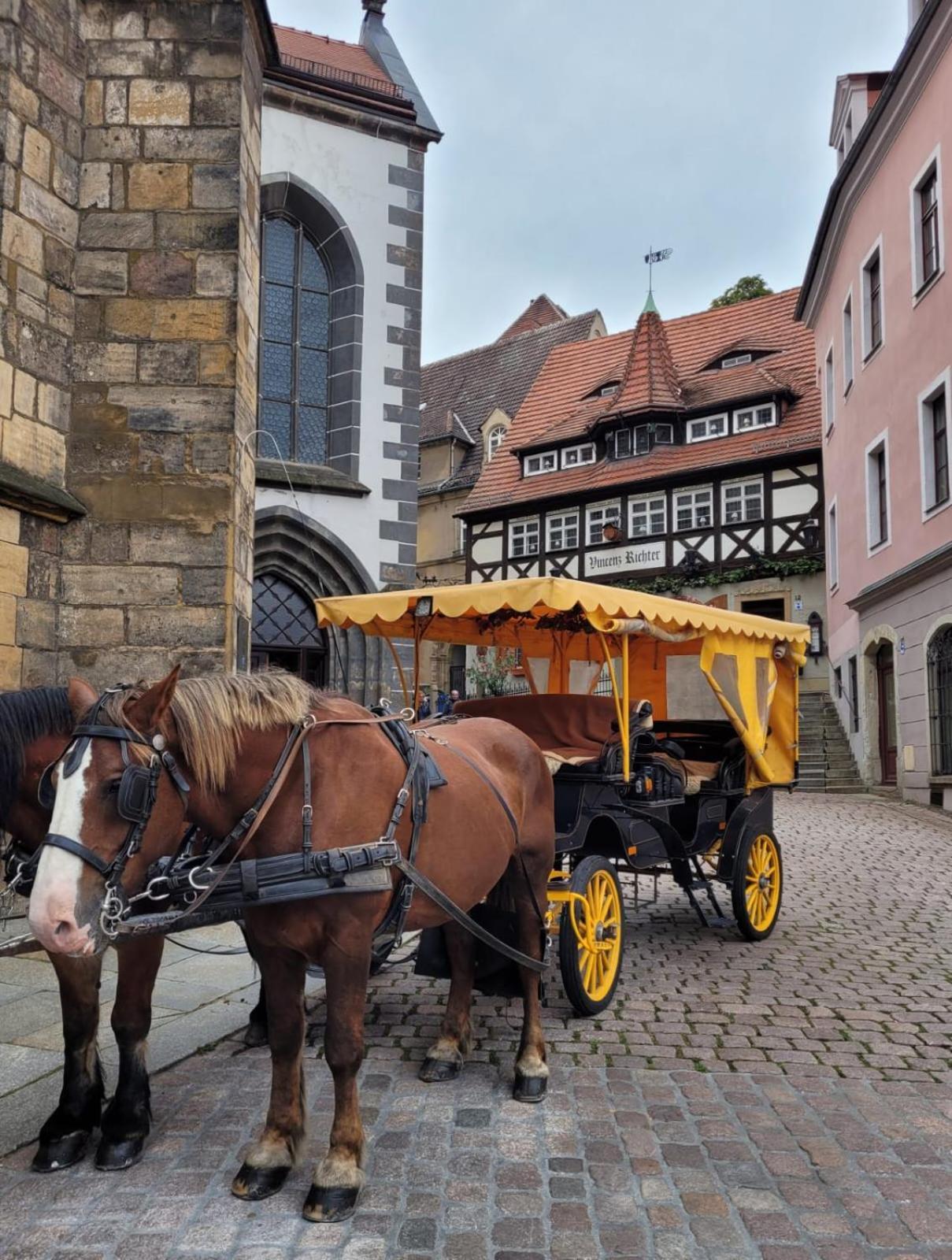 Cosel Apartment Altstadt Radfahrer Balkon マイセン 部屋 写真