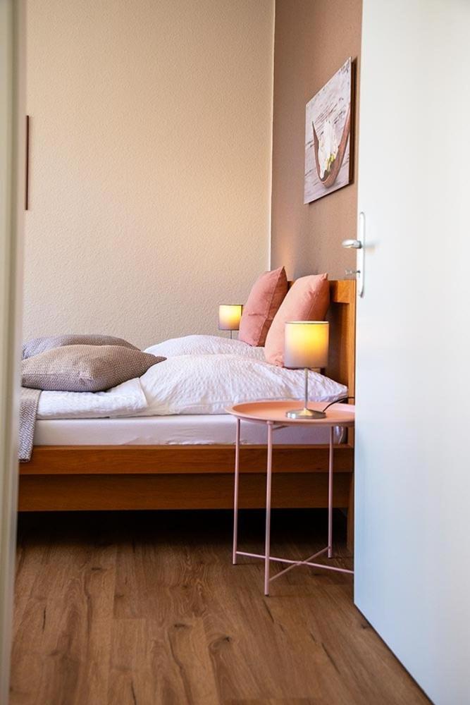 Cosel Apartment Altstadt Radfahrer Balkon マイセン エクステリア 写真